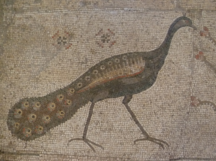 Peacock Mosaic — symbol of Jesus